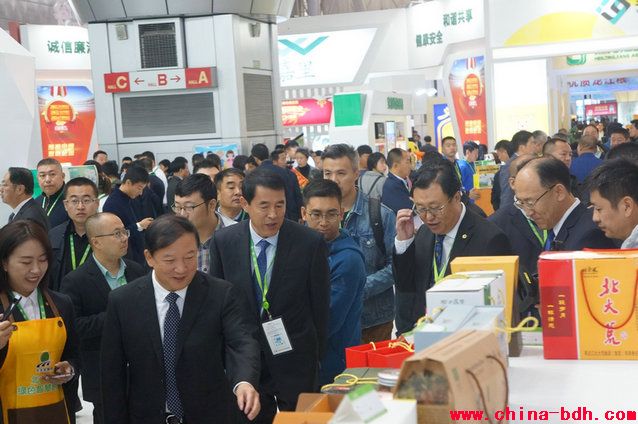 點(diǎn)擊瀏覽下一頁